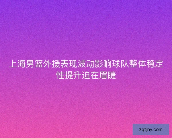上海男篮外援表现波动影响球队整体稳定性提升迫在眉睫